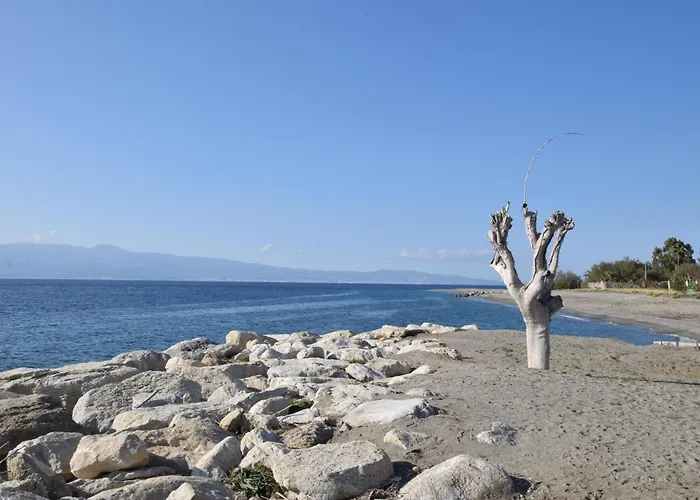 公寓 Awesome In With Swimming Pool